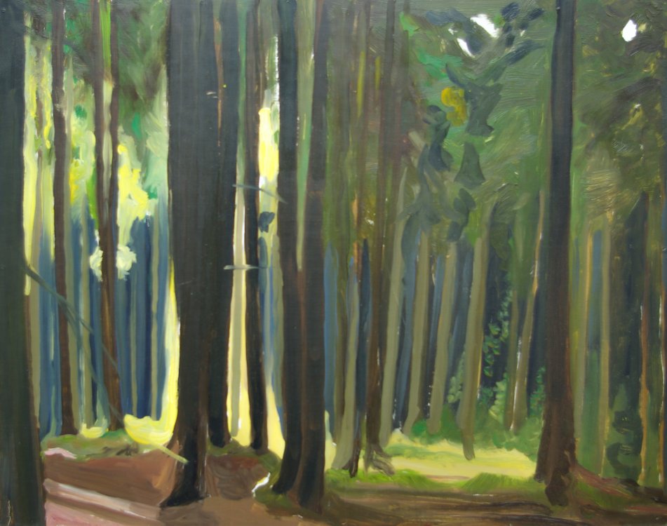2009 — (30) Průhled lesem (Včelný), A,O,S, 40x50cm